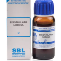 SBL Scrophularia Nodosa Q 100ml homeopathic mother tincture for skin and glandular health
