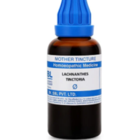 SBL Lachnanthes Tinctoria Q 100ml – Homeopathic Mother Tincture