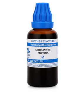 SBL Lachnanthes Tinctoria Q 100ml – Homeopathic Mother Tincture