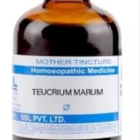 SBL Teucrium Marum Verum Q 100ml homeopathic mother tincture bottle for nasal polyps