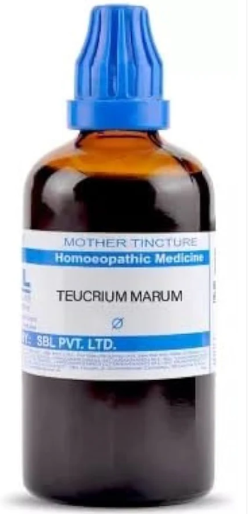 SBL Teucrium Marum Verum Q 100ml homeopathic mother tincture bottle for nasal polyps