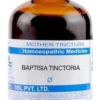SBL Baptisia Tinctoria Q 100ml homeopathic mother tincture for fever and flu support