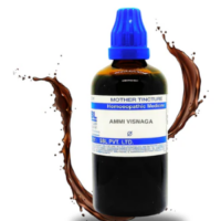 SBL Ammi Visnaga Q 100ml homeopathic mother tincture for muscle spasms and respiratory support