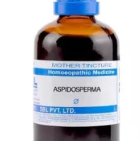 SBL Aspidosperma Quebracho Q 100ml homeopathic mother tincture for respiratory health and breathing support