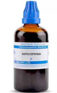 SBL Aspidosperma Quebracho Q 100ml homeopathic mother tincture for respiratory health and breathing support