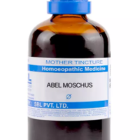 SBL Abel Moschus Q 100ml homeopathic mother tincture for digestion and nervous system support