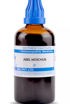 SBL Abel Moschus Q 100ml homeopathic mother tincture for digestion and nervous system support