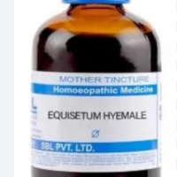 SBL Equisetum Hyemale Q 100ml homeopathic mother tincture bottle