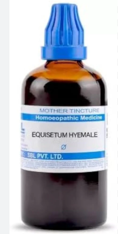 SBL Equisetum Hyemale Q 100ml homeopathic mother tincture bottle
