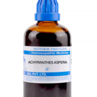 SBL Achyranthes Aspera Q 100ml – Homeopathic Digestive & Urinary Support