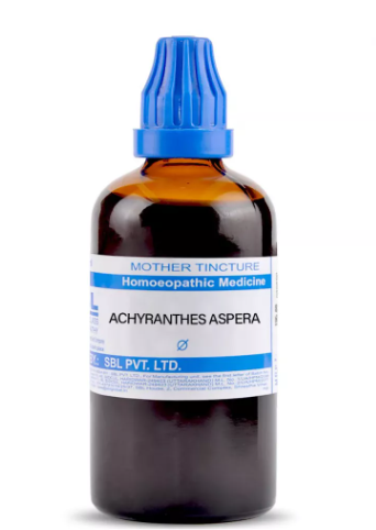 SBL Achyranthes Aspera Q 100ml – Homeopathic Digestive & Urinary Support