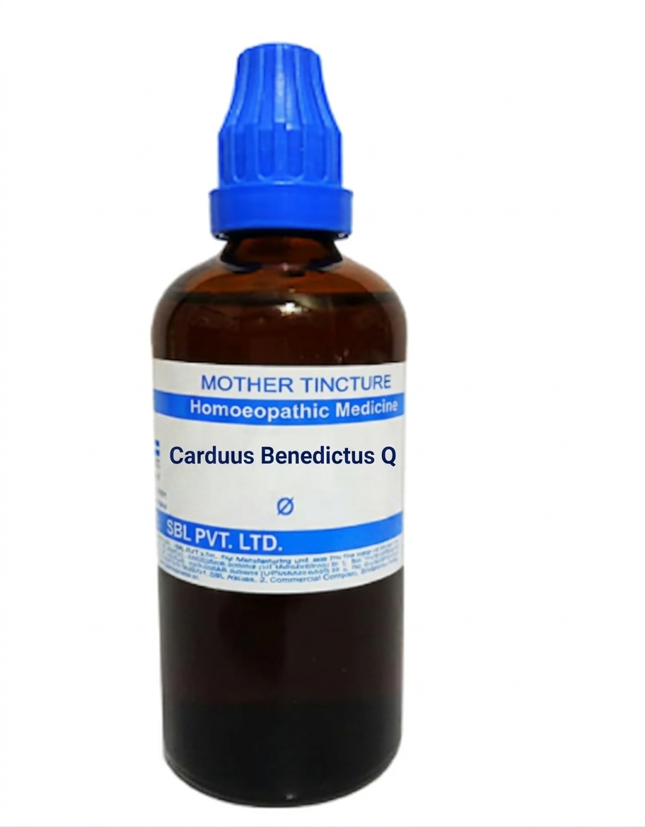 SBL Carduus Benedictus Q 100ml – Homeopathic Stomach & Eye Relief