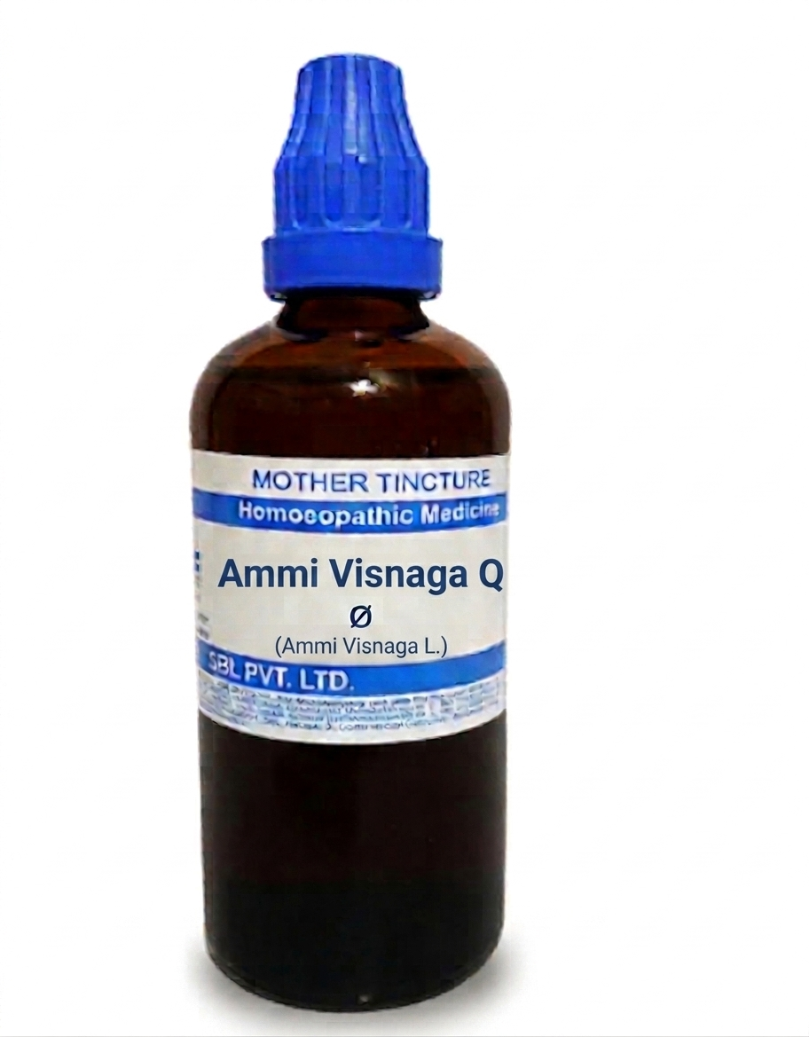 SBL Ammi Visnaga Q 100ml homeopathic mother tincture for muscle spasms and respiratory support