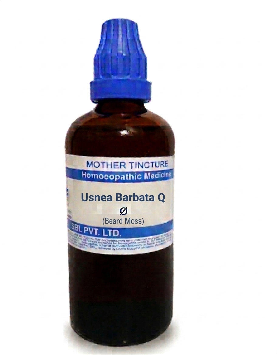 SBL Usnea Barbata 200 CH 100ml homeopathic dilution for immune support and eye health
