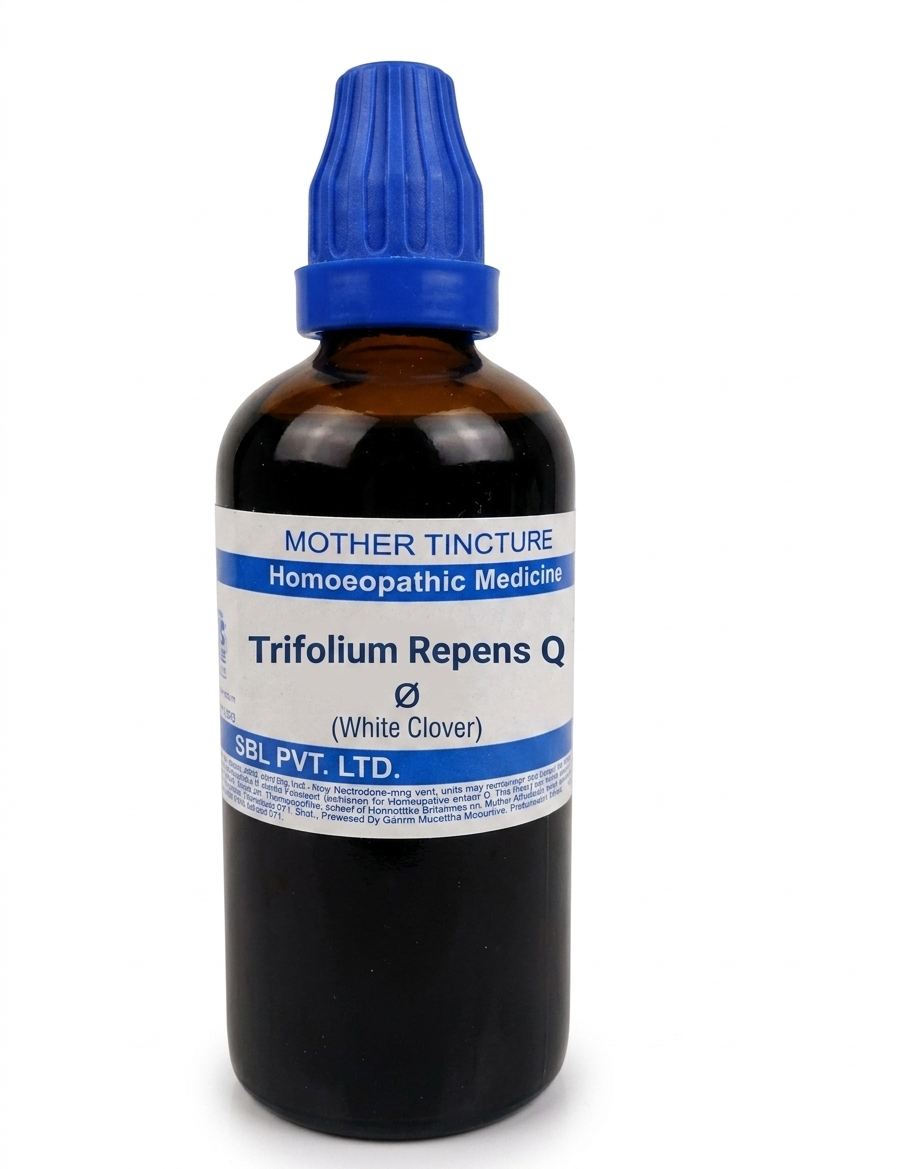 SBL Trifolium Repens Q (100ml) – Homeopathic White Clover Mother Tincture