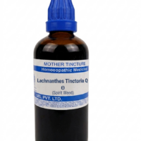 SBL Lachnanthes Tinctoria Q 100ml – Homeopathic Mother Tincture