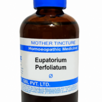 SBL Eupatorium Perfoliatum Q 100ml homeopathic mother tincture bottle for bone pain relief
