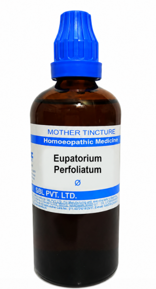 SBL Eupatorium Perfoliatum Q 100ml homeopathic mother tincture bottle for bone pain relief