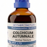 SBL Colchicum Autumnale Q 100 ml for joint and digestive support