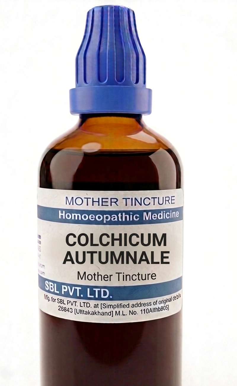 SBL Colchicum Autumnale Q 100 ml for joint and digestive support