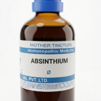 SBL Absinthium Q 100 ml for nervous balance and digestive support