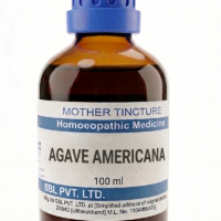 SBL Agave Americana Q 100 ml for digestive and liver support