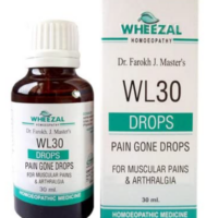 Wheezal WL30 Pain Gone Drops for muscle pain and joint relief support