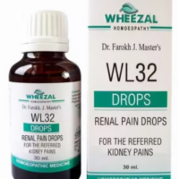 Wheezal WL32 Renal Pain Drops for kidney stone pain and urinary comfort support
