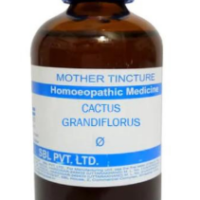 SBL Cactus Grandiflorus Mother Tincture Q for heart health and circulation support