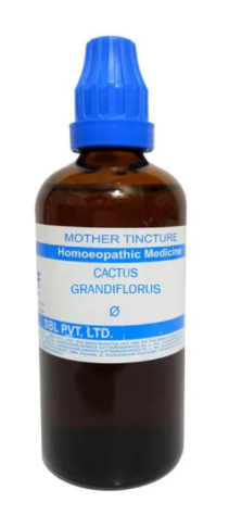 SBL Cactus Grandiflorus Mother Tincture Q for heart health and circulation support