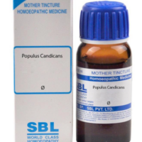 SBL Populus Candicans Mother Tincture Q for cold relief and throat support