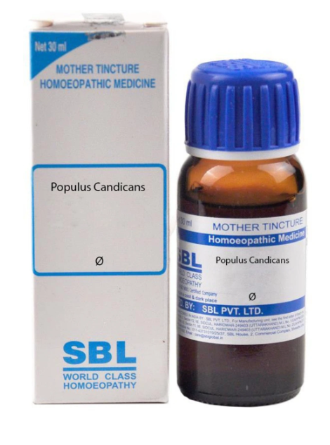 SBL Populus Candicans Mother Tincture Q for cold relief and throat support