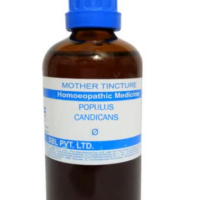 SBL Populus Candicans Mother Tincture Q for cold relief and throat support