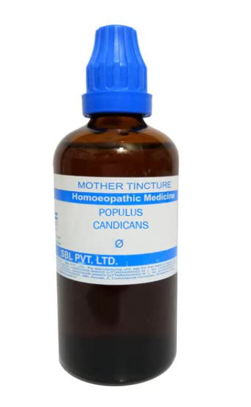 SBL Populus Candicans Mother Tincture Q for cold relief and throat support