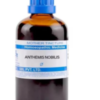 SBL Anthemis Nobilis Mother Tincture Q for cold sensitivity and respiratory support