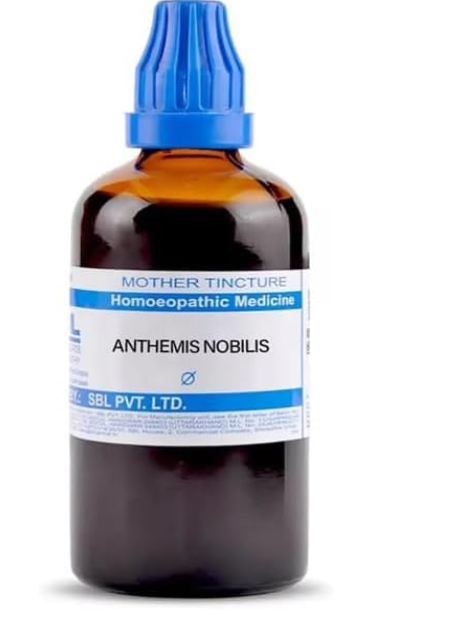 SBL Anthemis Nobilis Mother Tincture Q for cold sensitivity and respiratory support
