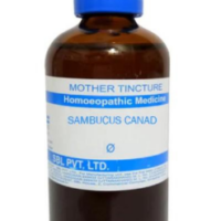 SBL Sambucus Canadensis Mother Tincture Q for respiratory and throat support