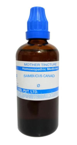 SBL Sambucus Canadensis Mother Tincture Q for respiratory and throat support