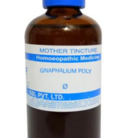 SBL Gnaphalium Polycephalum Mother Tincture Q for sciatica and nerve pain relief