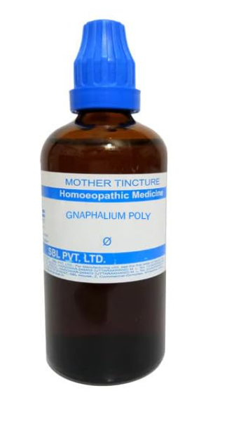 SBL Gnaphalium Polycephalum Mother Tincture Q for sciatica and nerve pain relief