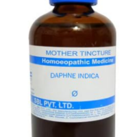 SBL Daphne Indica Mother Tincture Q for joint pain and oral health support