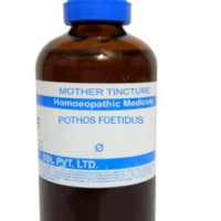 SBL Pothos Foetidus Mother Tincture Q for respiratory and throat support