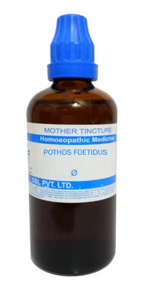SBL Pothos Foetidus Mother Tincture Q for respiratory and throat support