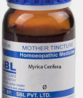 SBL Myrica Cerifera Mother Tincture Q for digestive health and gut balance