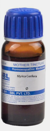 SBL Myrica Cerifera Mother Tincture Q for digestive health and gut balance