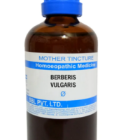 SBL Berberis Vulgaris Mother Tincture Q for kidney stone relief and urinary support