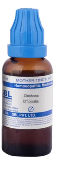SBL Cinchona Officinalis Mother Tincture Q for digestion and energy support
