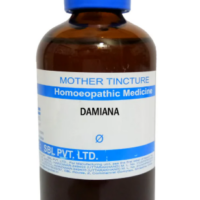 SBL Damiana Mother Tincture Q for energy and digestive support