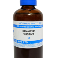 SBL Hamamelis Virginica Mother Tincture Q for haemorrhoids and vein support