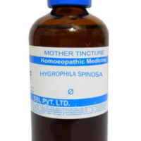 SBL Hygrophila Spinosa Mother Tincture Q for skin and kidney support